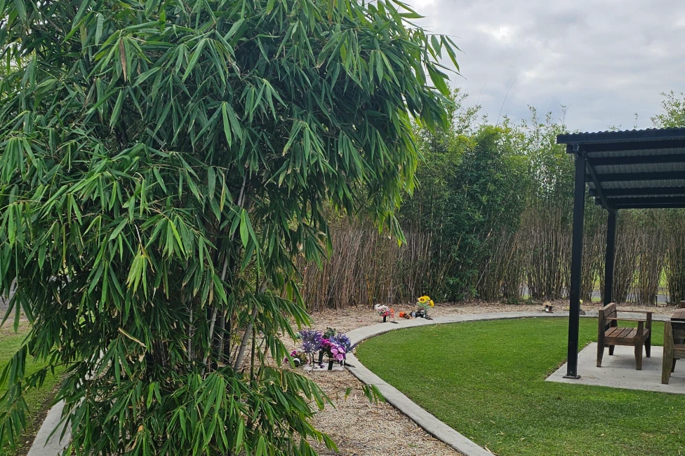 Bamboo Memorial Walk2