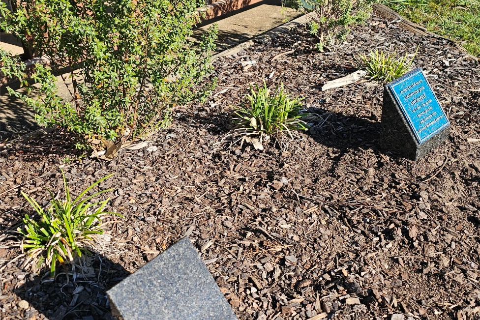 Gazebo Garden