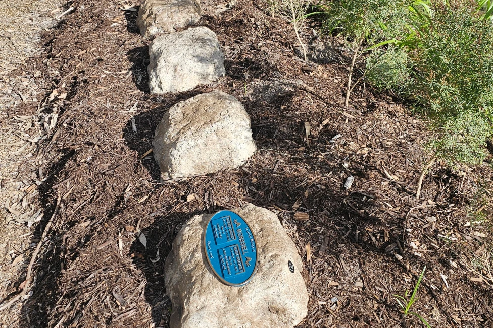 Melaleuca Rock Garden2