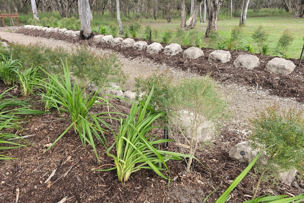 Melaleuca Rock Garden5