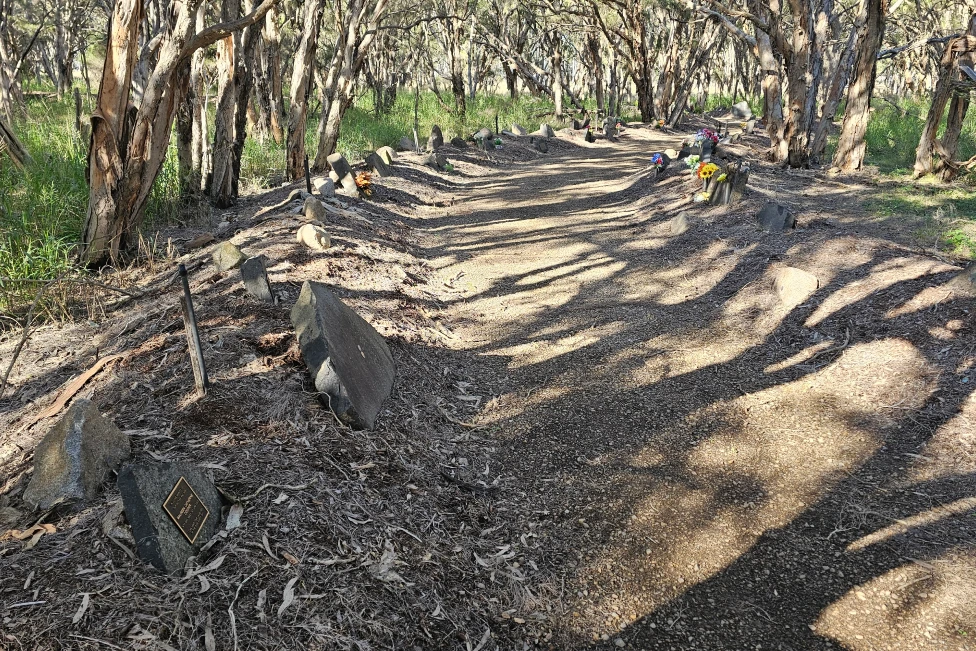 Melaleuca Memorial Walk2