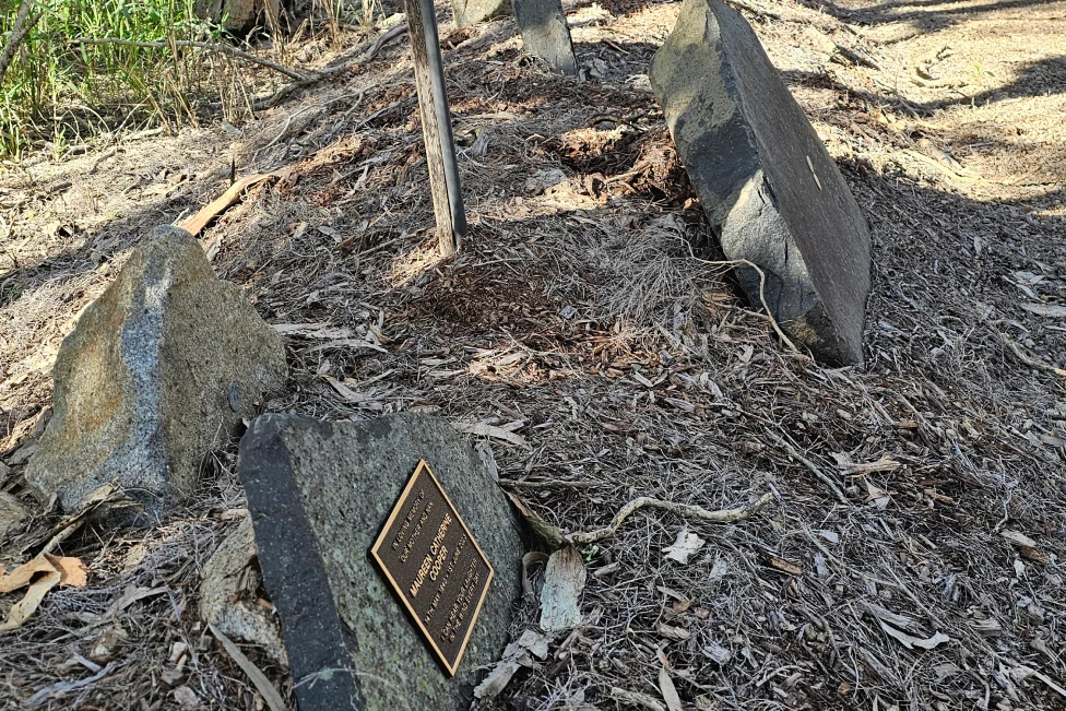 Melaleuca Memorial Walk3