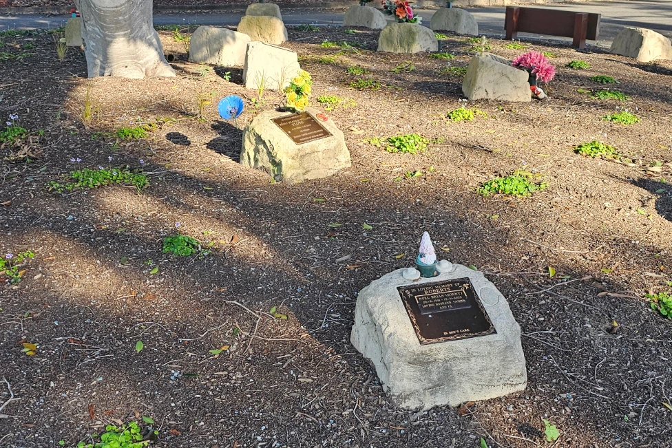 Shady Fig Memorial Circle Garden2
