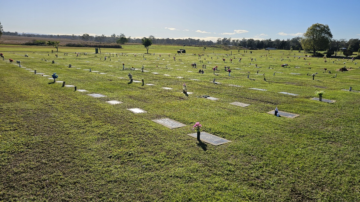 Basic Lawn Plots